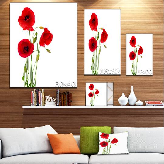Designart - Isolated Red Poppy Flowers